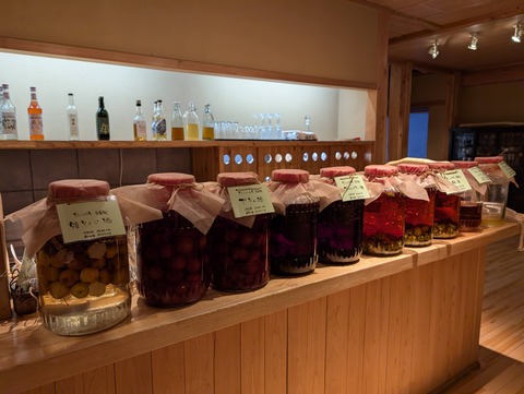 だいこんの花_124