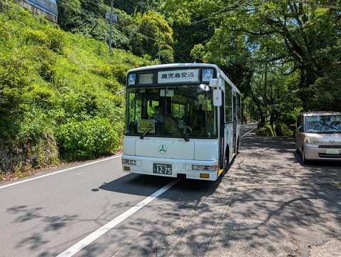 雅叙苑_255