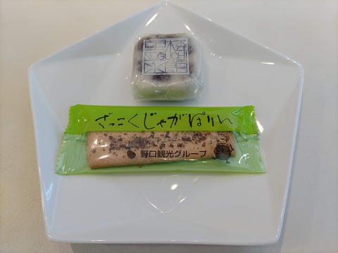 望楼NOGUCHI函館_64