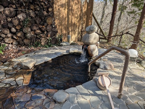 だいこんの花_62