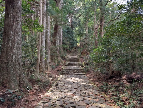 中の島_16