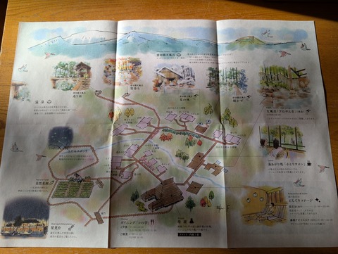 だいこんの花_111