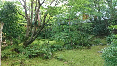べにや無何有_0770