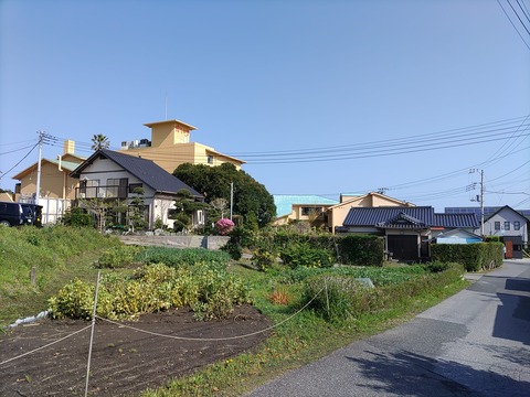 花しぶき_158