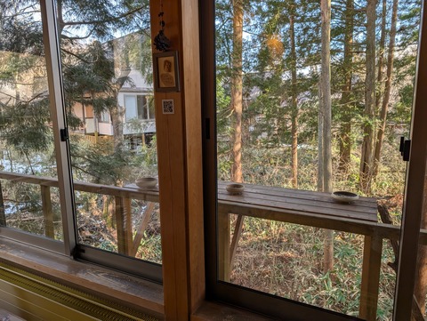 だいこんの花_24