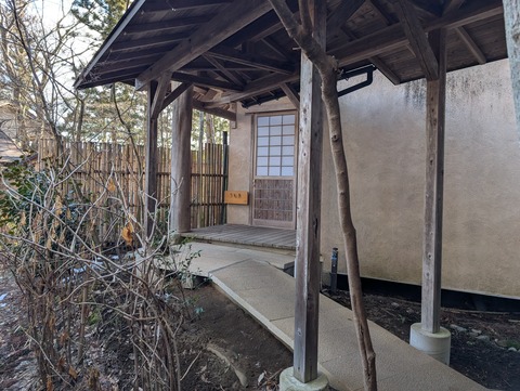 だいこんの花_85