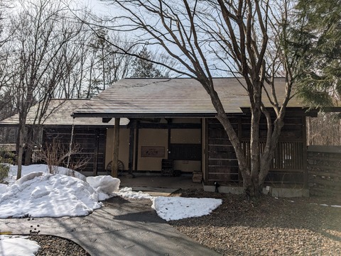 だいこんの花_6