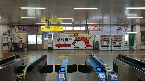やす井_0400