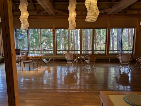 だいこんの花_15