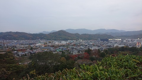 やす井_0454