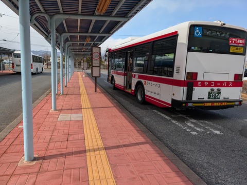 だいこんの花_2