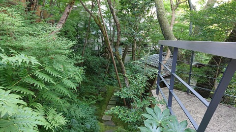 べにや無何有_0767