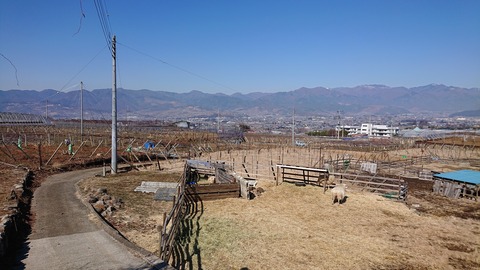別邸坐忘_0314