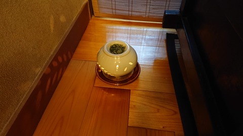 やす井_0436