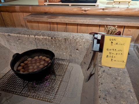 だいこんの花_166