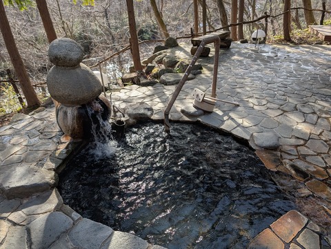 だいこんの花_63