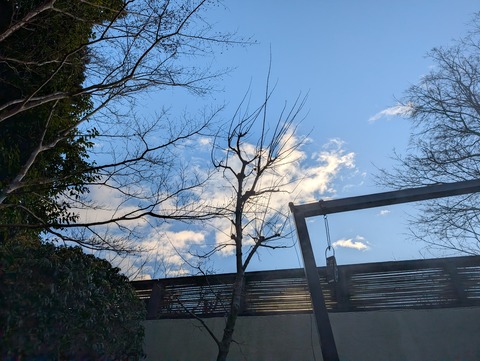 きたの風茶寮_182