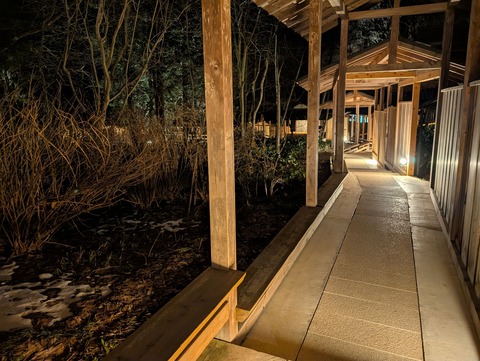 だいこんの花_160