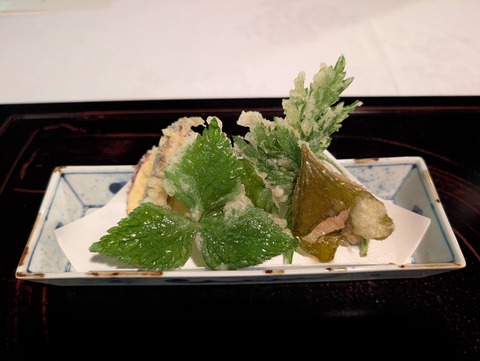 雅叙苑_161