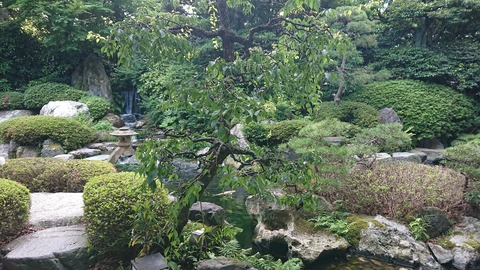 佳翠苑皆美_0290