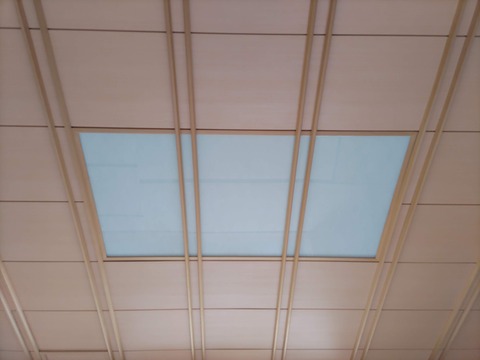 若松_151