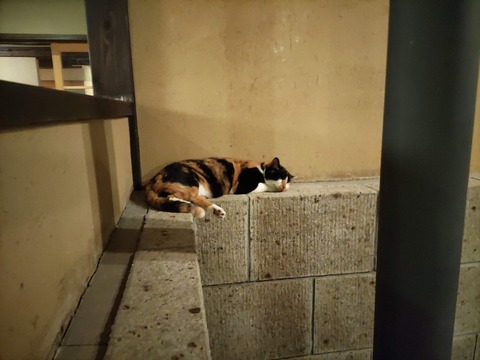 三水館_139