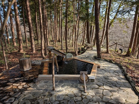 だいこんの花_67