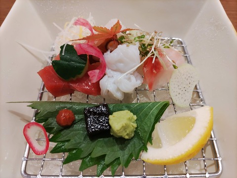 嬉野八十八_137