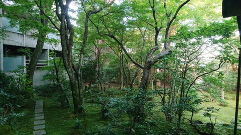 べにや無何有_0768