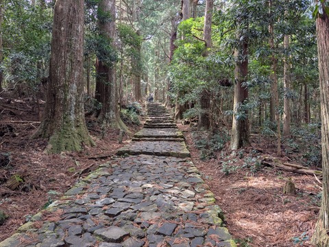 中の島_13