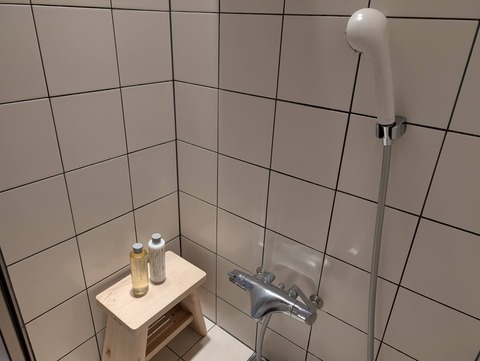 だいこんの花_105