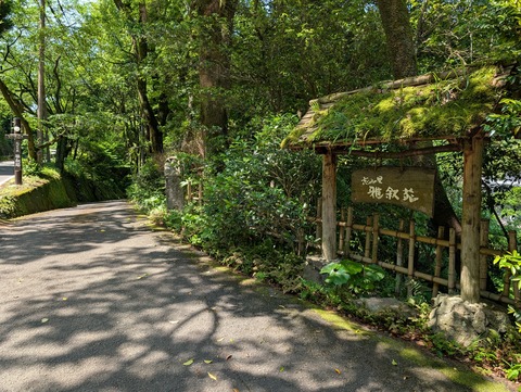 雅叙苑_241