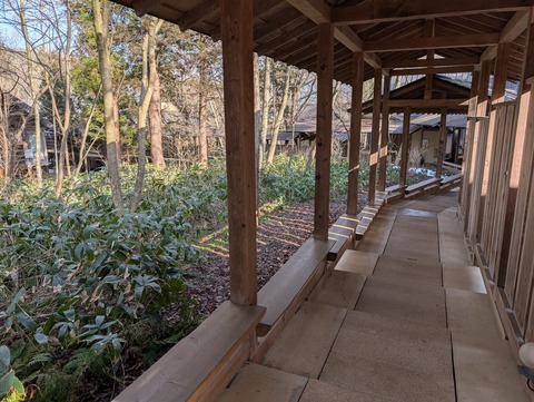 だいこんの花_72