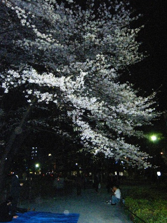 ������ࡡ�����飳