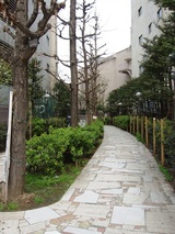 ���ɡ��͵���ϩ��