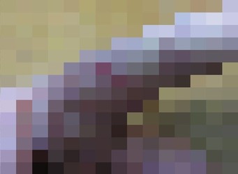 19.8.31_31-1