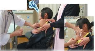 pet sterilization 04