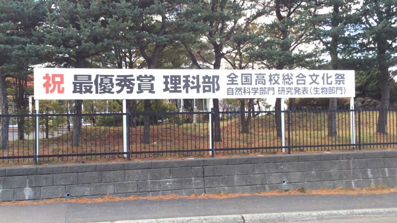 つれづれなるままに 高校野球 つれづれなるままに 高校野球
