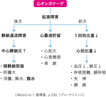 pk161心タンポの病態