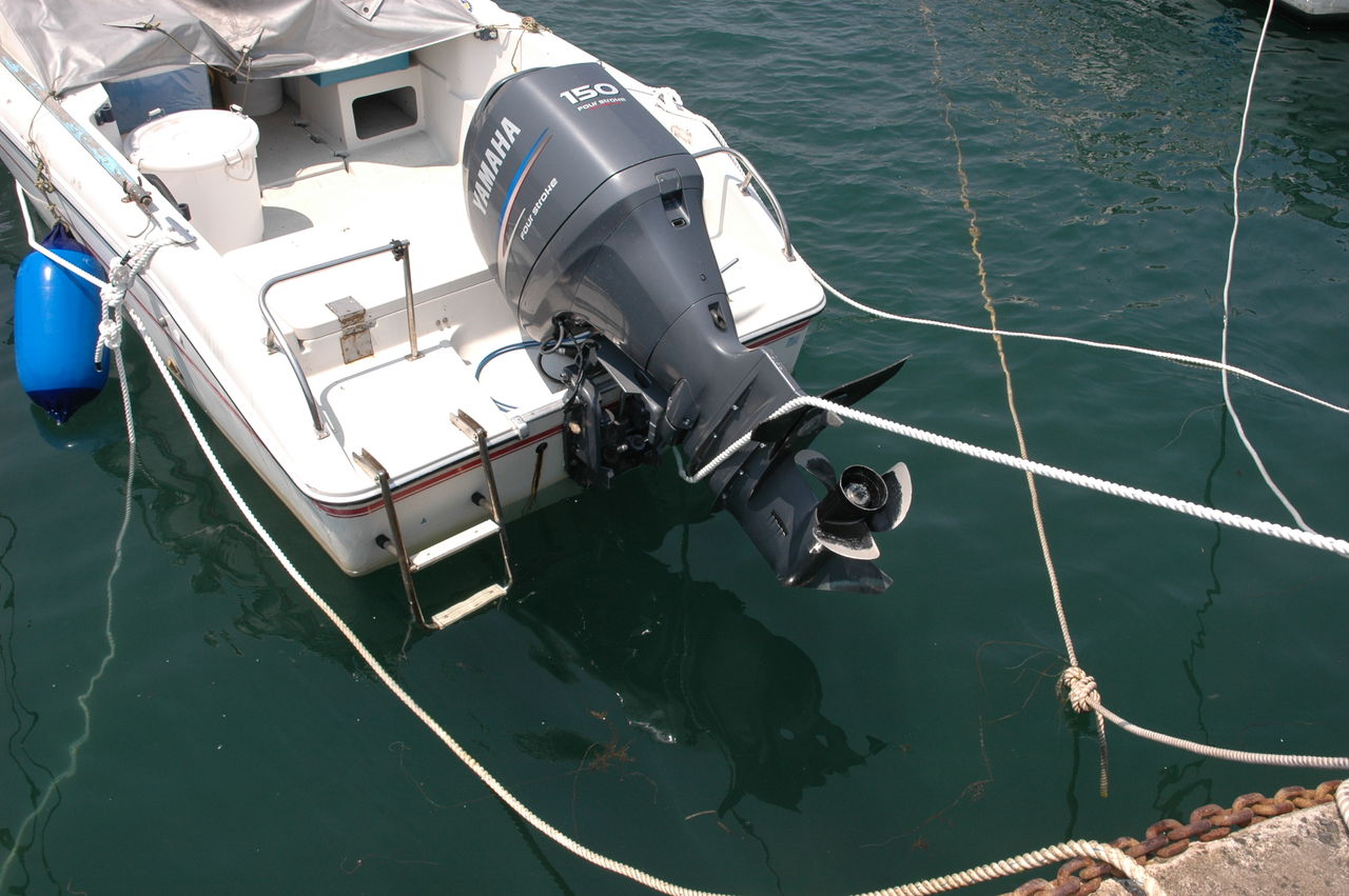 タラップ 妄想船長日記 目標は マグロを釣ること