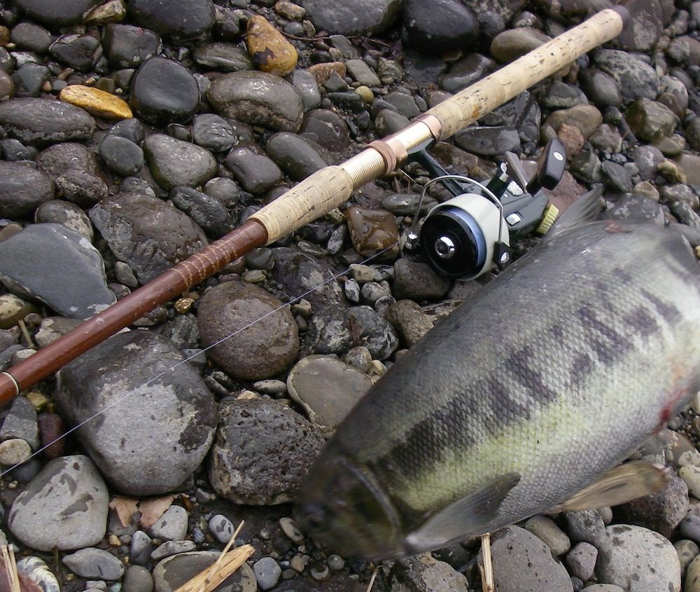 イクラ 川の鮭釣り 三沢で釣日記 By むぅ