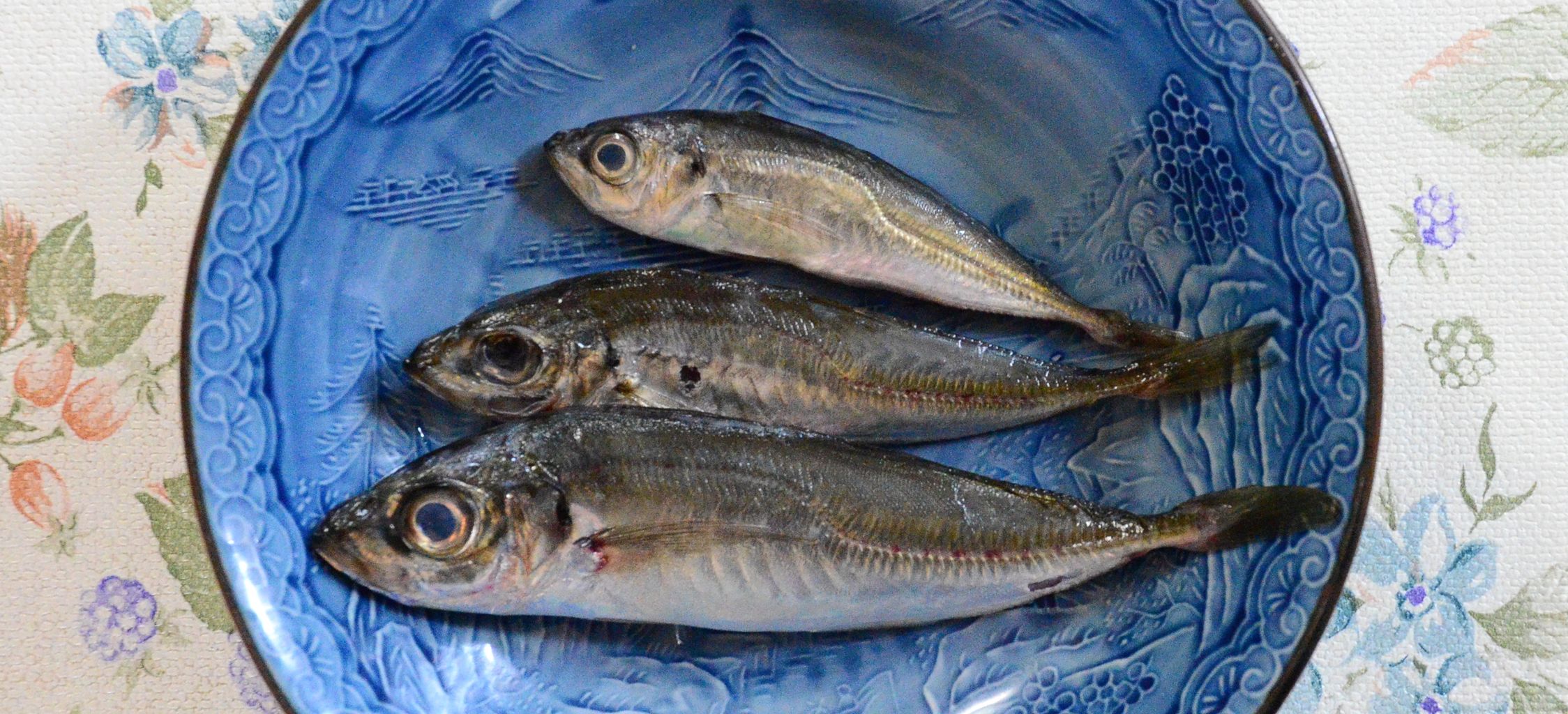 久々の釣り 三沢で釣日記 By むぅ 久々の釣り 三沢で釣日記 By むぅ