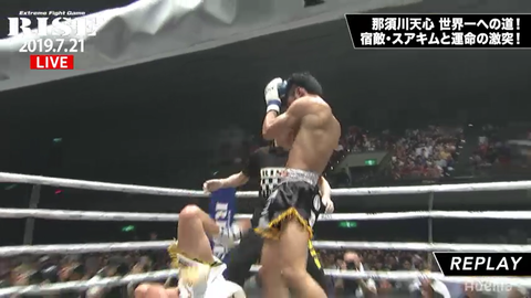 スクリーンショット (5220)