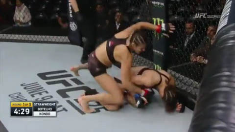 スクリーンショット (2549)