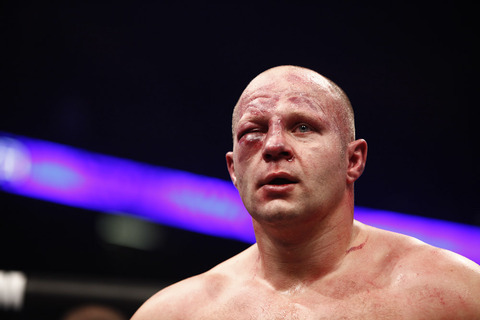 Fedor_Emelianenko_silva_damage