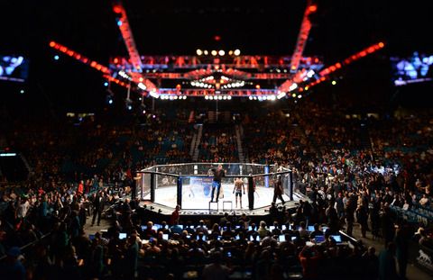 mma_ufc-155_24