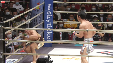 スクリーンショット (2871)