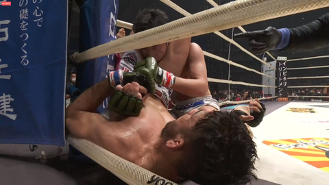 スクリーンショット (1466)