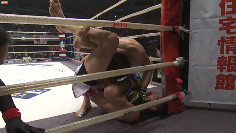 スクリーンショット (537)