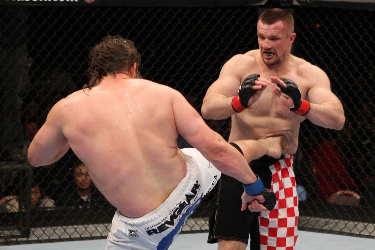 悲報 ミルコ クロコップvsロイ ネルソン2が正式に発表される 打投極速報